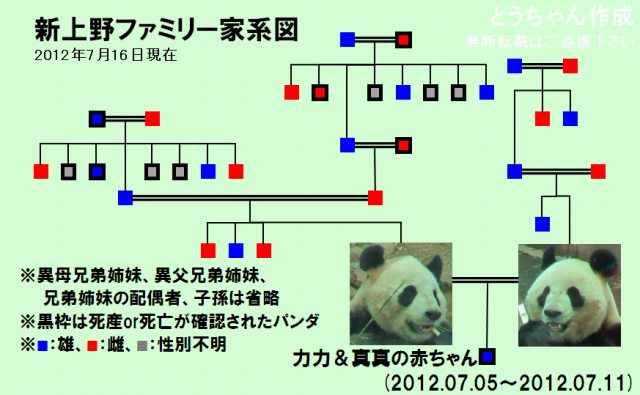 s-新上野家系図.jpg